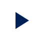 Play Icon